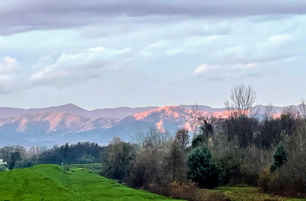 La Dimora Di Corte Lucca Homestay